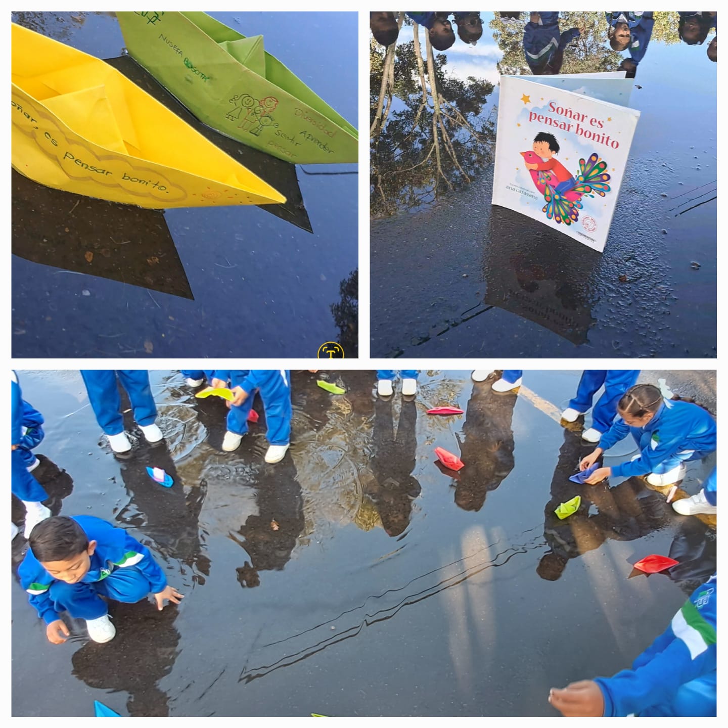 Programa Ambiental Fundación Grandes Sabios